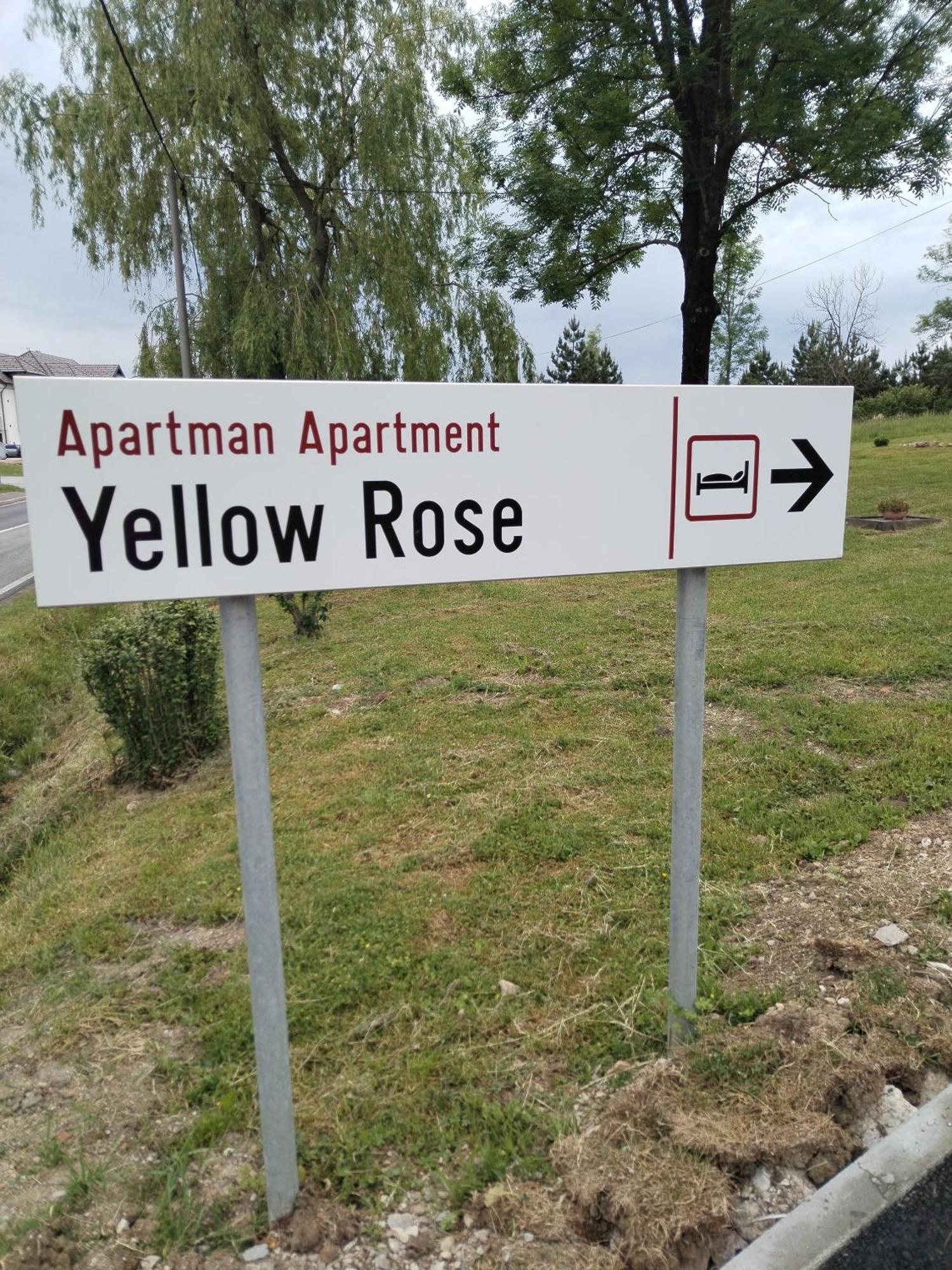 Yellow Rose غاكوفيتسا المظهر الخارجي الصورة